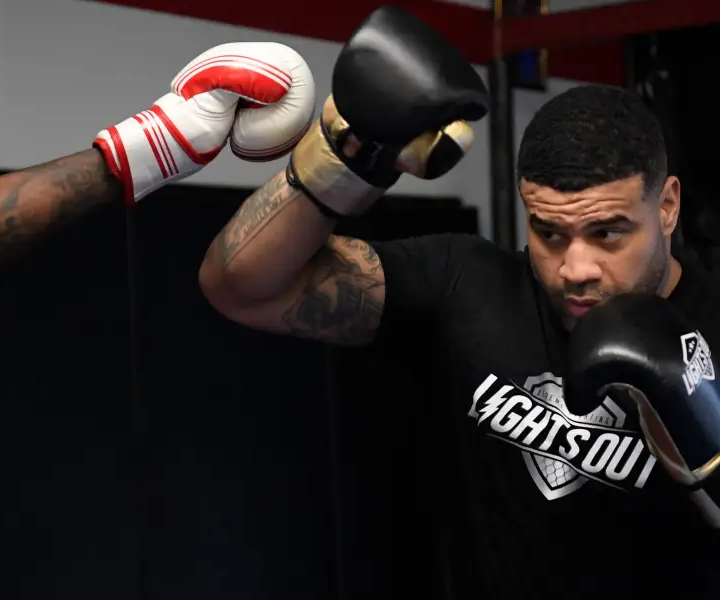 The Significance of Methstreams: Free Live Streams for MMA and Boxing Fans
